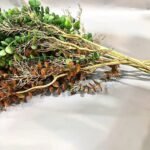 Eucalyptus Artificiel – Plante Décorative Naturelle Et Durable