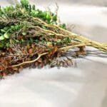 Eucalyptus Artificiel - Plante Décorative Naturelle Et Durable