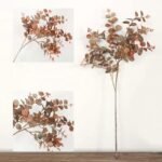 Eucalyptus Automne : Parfum Naturel Et Revigorant Pour Votre Intérieur