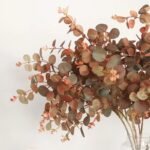 Eucalyptus Automne : Parfum Naturel Et Revigorant Pour Votre Intérieur