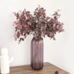Eucalyptus Automne : Parfum Naturel Et Revigorant Pour Votre Intérieur