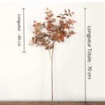 Eucalyptus Automne : Parfum Naturel Et Revigorant Pour Votre Intérieur