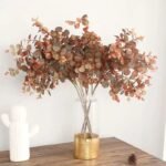 Eucalyptus Automne : Parfum Naturel Et Revigorant Pour Votre Intérieur