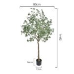 Eucalyptus Gunnii Artificiel Pour Une Décoration Naturelle