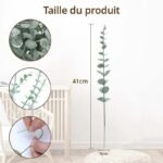 Eucalyptus : Huile Essentielle Pure Et Apaisante