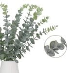 Eucalyptus: Huile Essentielle Pure Et Apaisante