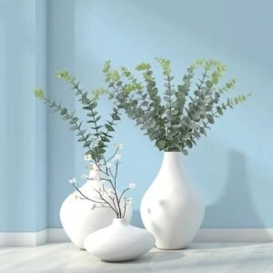 Eucalyptus : Huile Essentielle Pure Et Apaisante