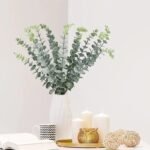 Eucalyptus : Huile Essentielle Pure Et Apaisante