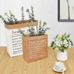 Eucalyptus: Huile Essentielle Pure Et Apaisante