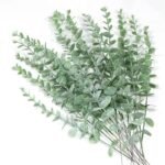 Eucalyptus : Huile Essentielle Pure Et Apaisante