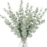 Eucalyptus : Huile Essentielle Pure Et Apaisante