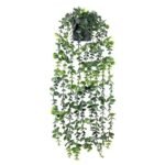 Eucalyptus Naturel