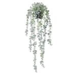 Eucalyptus Naturel