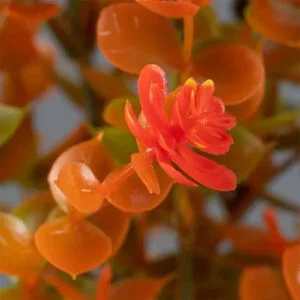 Eucalyptus: Parfum Naturel Apaisant Et Revitalisant