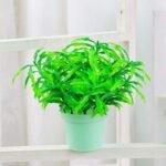 Fausse Petite Plante Décorative Pour Un Intérieur Agréable