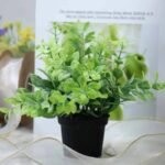 Fausse Petite Plante Décorative Pour Un Intérieur Agréable