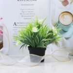 Fausse Petite Plante Décorative Pour Un Intérieur Agréable