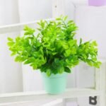 Fausse Petite Plante Décorative Pour Un Intérieur Agréable