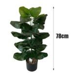 Fausse Plante Intérieur Style Exotique Ou Traditionnel