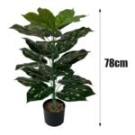 Fausse Plante Intérieur Style Exotique Ou Traditionnel