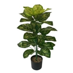 Fausse Plante Intérieur Style Exotique Ou Traditionnel