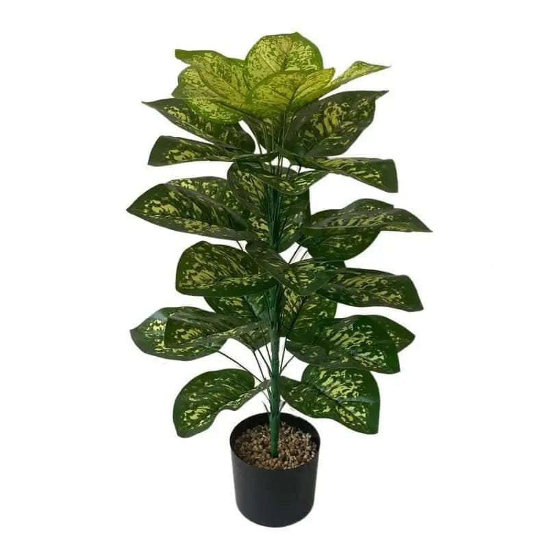 Fausse Plante Intérieur Style Exotique Ou Traditionnel