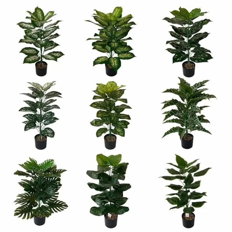 Fausse Plante Intérieur Style Exotique Ou Traditionnel