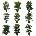 Fausse Plante Réaliste Pour Décorer Votre Intérieur