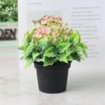 Fausse Plante Déco Chambre 17cm