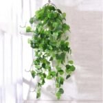 Fausse Plante Tombante Pour Une Décoration élégante Et Naturelle