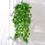 Fausse Plante Tombante Pour Une Décoration élégante Et Naturelle