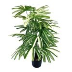 Fausse Plante Verte : Décoration Naturelle Sans Entretien