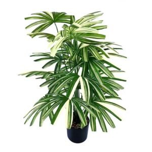 Fausse Plante Verte : Décoration Naturelle Sans Entretien