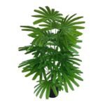 Fausse Plante Verte : Décoration Naturelle Sans Entretien