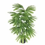 Fausse Plante Verte : Décoration Naturelle Sans Entretien
