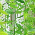 Fausse Plante Verte Tombante Pour Un Intérieur élégant Et Intemporel