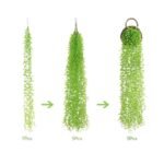Fausse Plante Verte Tombante Pour Un Intérieur élégant Et Intemporel
