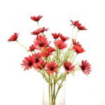Fausses Marguerites Marguerite Pour Une Décoration Florale élégante