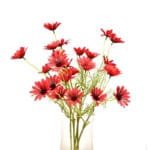 Fausses Marguerites Marguerite Pour Une Décoration Florale élégante - Rouge