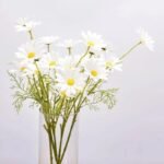 Fausses Marguerites Marguerite Pour Une Décoration Florale élégante