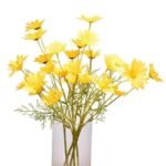 Fausses Marguerites Marguerite Pour Une Décoration Florale élégante