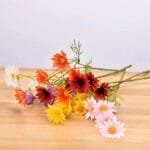 Fausses Marguerites Marguerite Pour Une Décoration Florale élégante