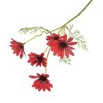 Fausses Marguerites Marguerite Pour Une Décoration Florale élégante