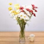 Fausses Marguerites Marguerite Pour Une Décoration Florale élégante