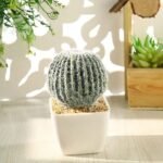 Faux Cactus Déco : élégance Et Entretien Facile Pour Votre Intérieur