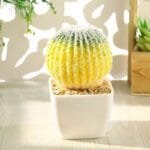 Faux Cactus Déco: élégance Et Entretien Facile Pour Votre Intérieur - Jaune