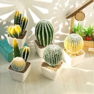 Faux Cactus Déco : élégance Et Entretien Facile Pour Votre Intérieur