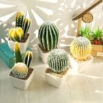 Faux Cactus Déco: élégance Et Entretien Facile Pour Votre Intérieur