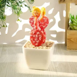 Faux Cactus Réaliste Pour Décoration Intérieure Et Extérieure - Cactus à Crête 1