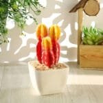Faux Cactus Réaliste Pour Décoration Intérieure Et Extérieure - Cactus à Crête 2